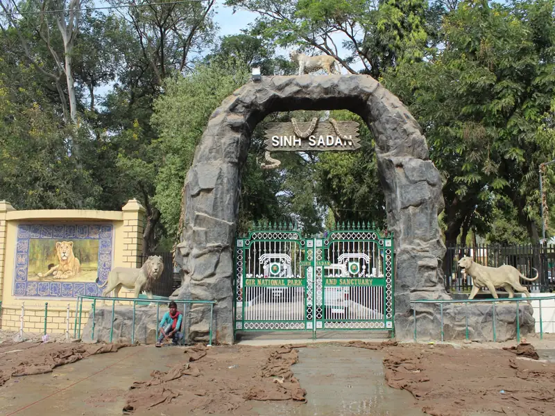 Bhavnagar to Sasan Gir Cab